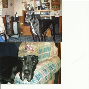 Meet your Posher, Marie